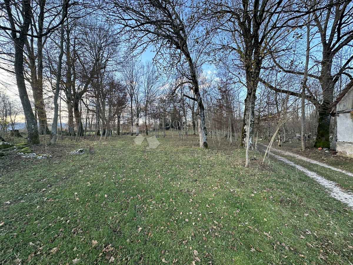 Land For sale - LIČKO-SENJSKA GOSPIĆ