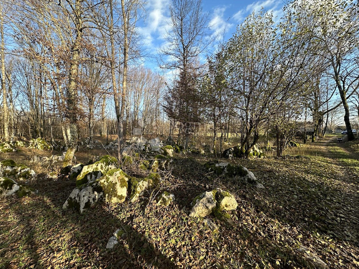 Land For sale - LIČKO-SENJSKA GOSPIĆ