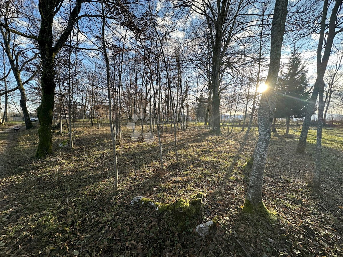 Land For sale - LIČKO-SENJSKA GOSPIĆ