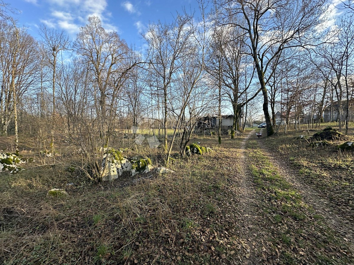 Land For sale - LIČKO-SENJSKA GOSPIĆ