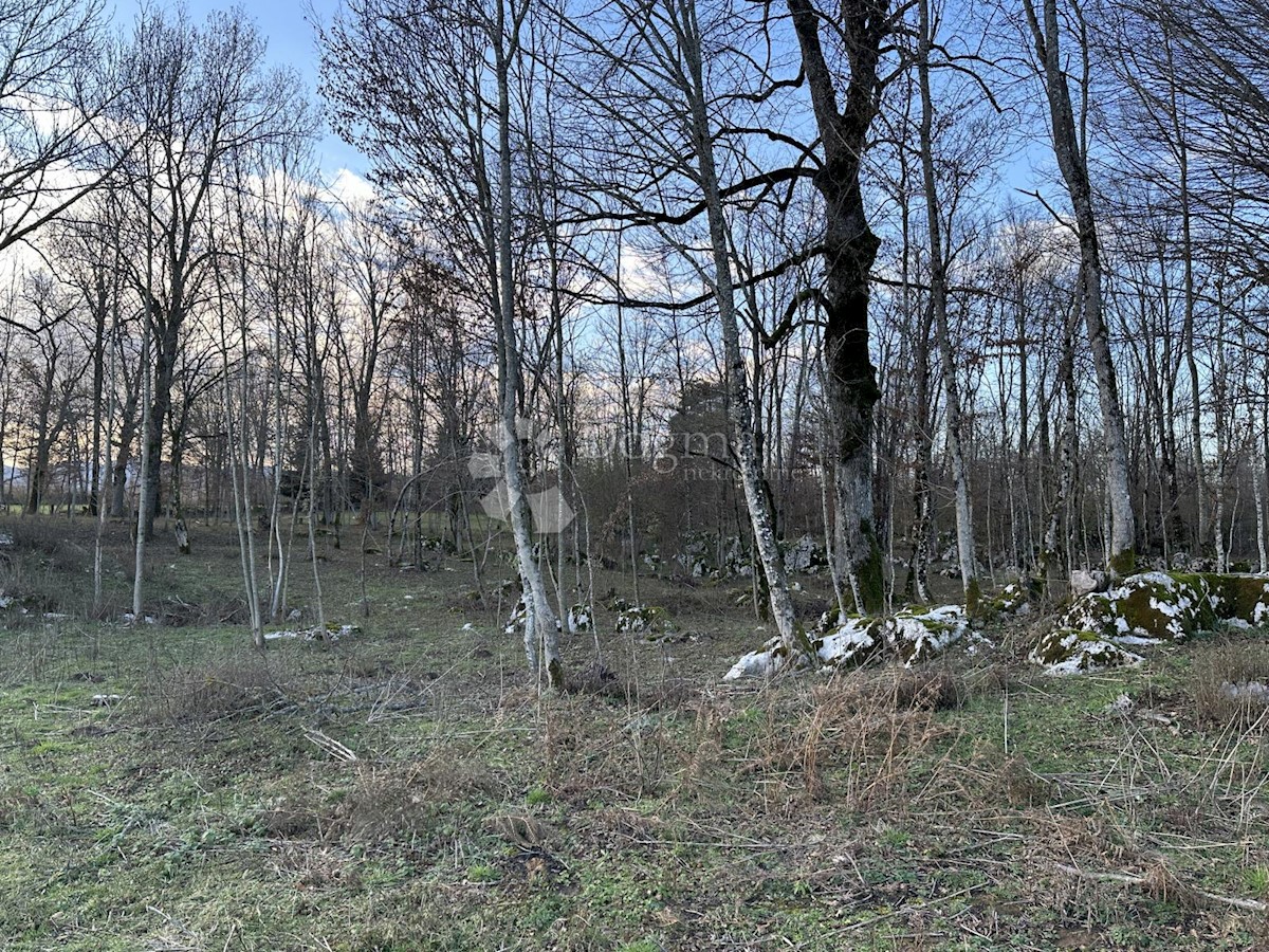 Land For sale - LIČKO-SENJSKA GOSPIĆ