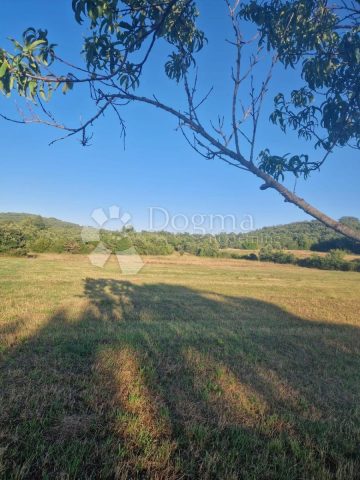 Pozemek na prodej 8050 m² – Rovinjsko Selo