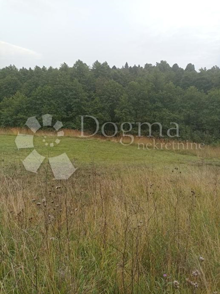 Land For sale - PRIMORSKO-GORANSKA VRBOVSKO