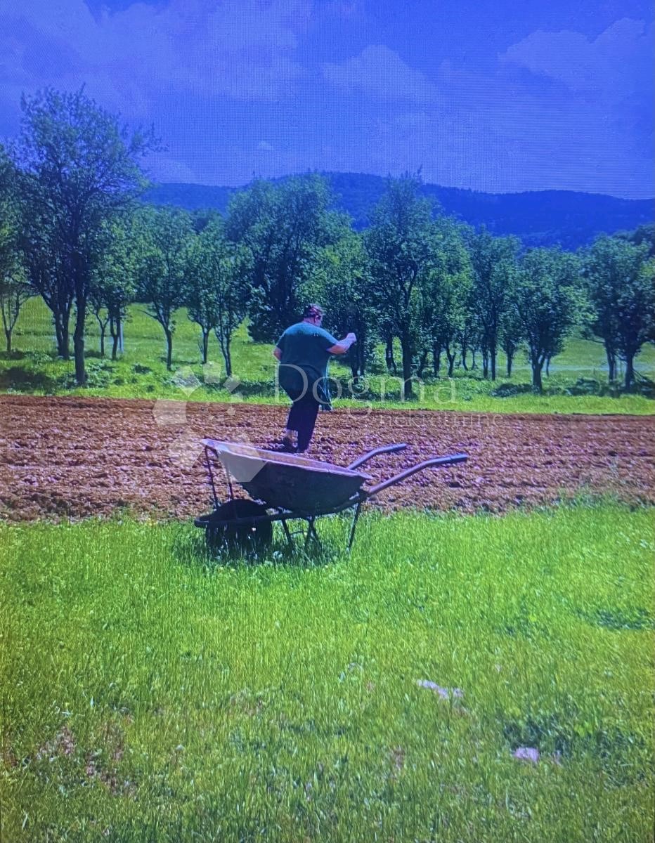 Zemljište Na prodaju - LIČKO-SENJSKA BRINJE