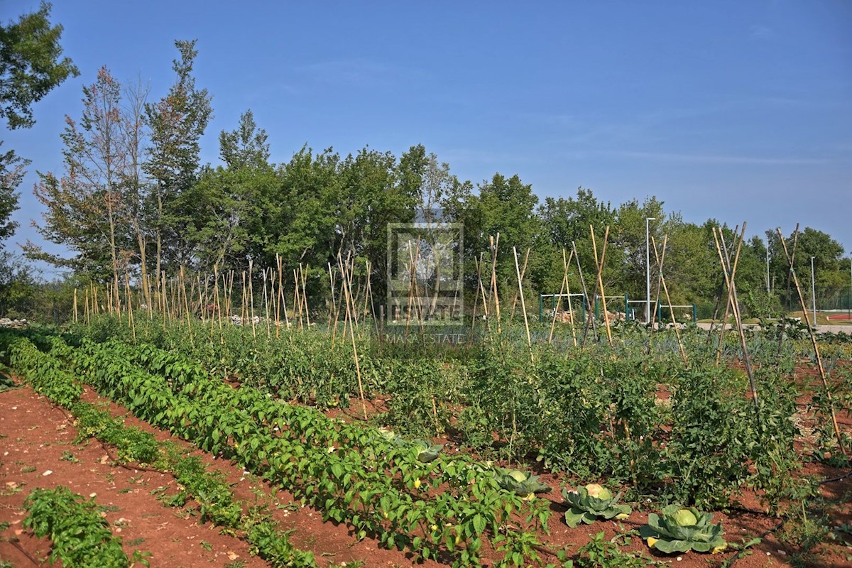 Casa In vendita - ISTARSKA POREČ