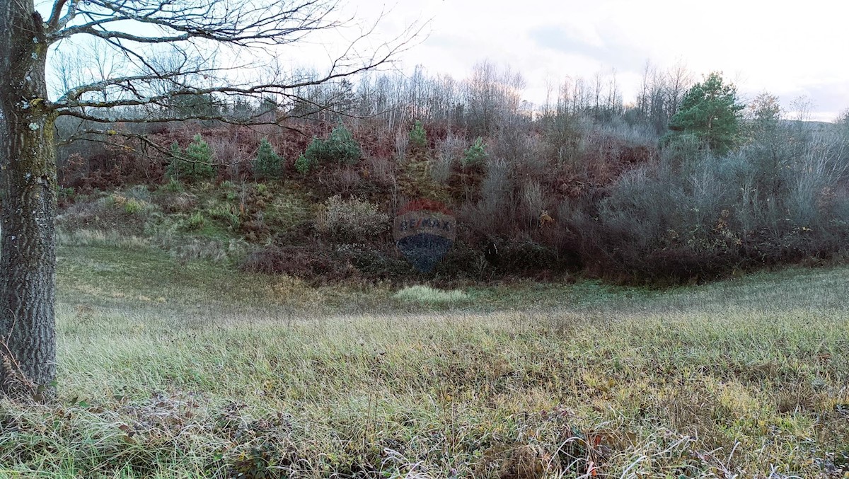 Terreno In vendita - KARLOVAČKA SLUNJ