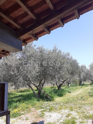 Terreno in vendita 4471 m² – Rovinj