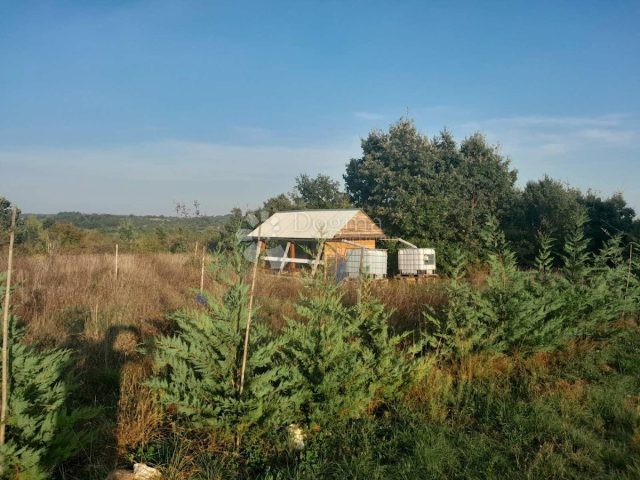 Zemljište Na prodaju - Istarska Svetvinčenat - foto 4/19