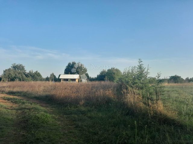 Zemljište Na prodaju - Istarska Svetvinčenat - foto 5/19