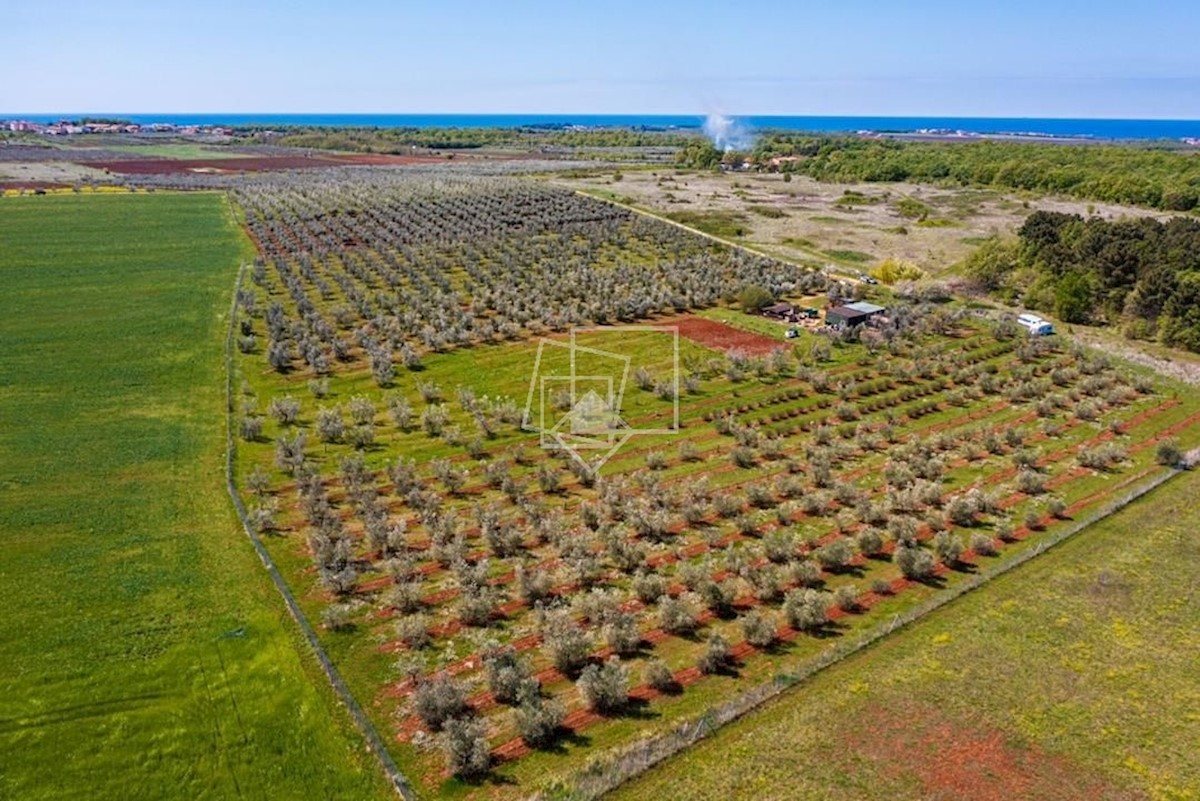 Zemljište Na prodaju - ISTARSKA NOVIGRAD