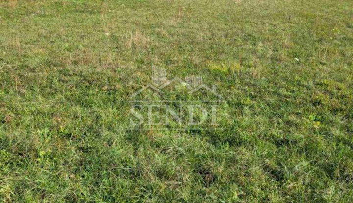 Pozemek na prodej 6554 m² – Kukuljanovo