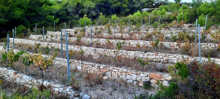 Maison À vendre - Splitsko-dalmatinska Vis - foto 2/24