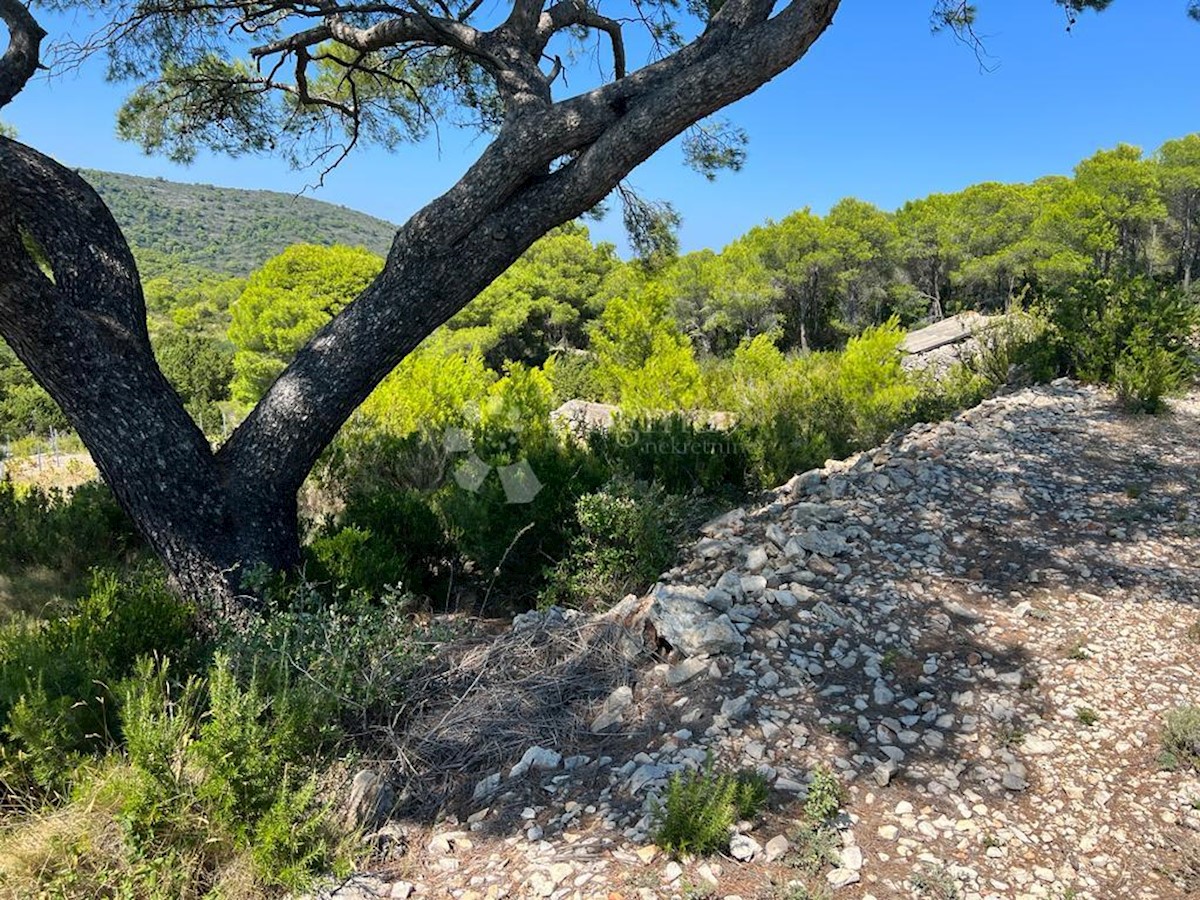Maison À vendre - SPLITSKO-DALMATINSKA Vis