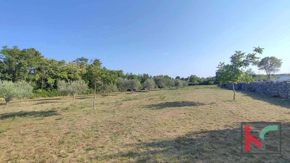 Land For sale - ISTARSKA MARČANA