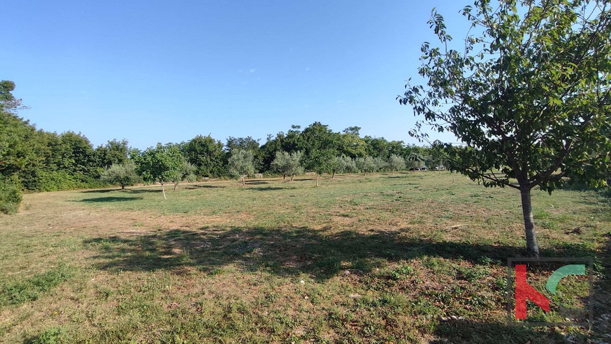 Land For sale - ISTARSKA MARČANA