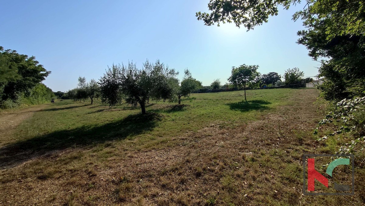 Land For sale - ISTARSKA MARČANA