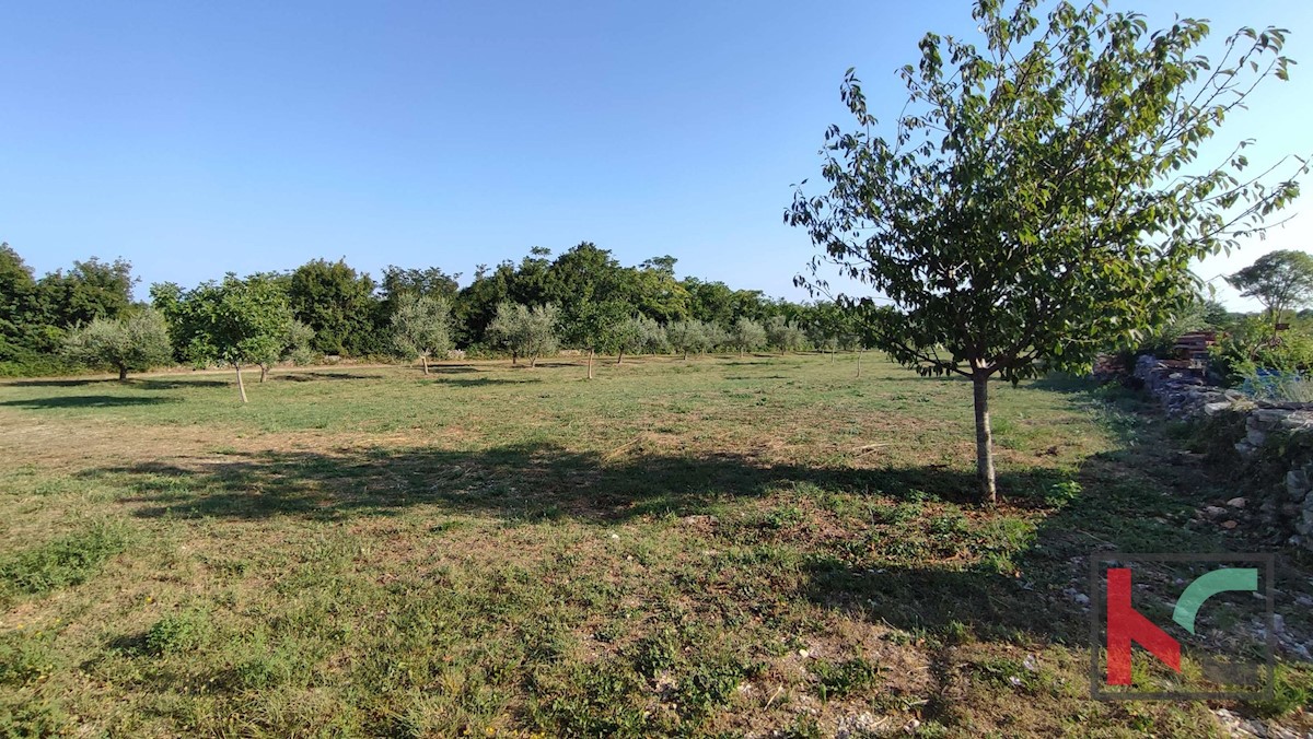 Land For sale - ISTARSKA MARČANA