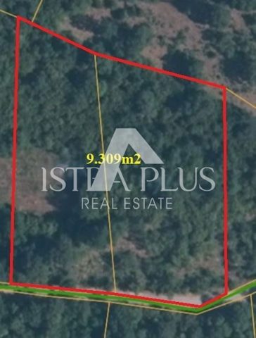 Zemljište na prodaju 9309 m² – Poreč