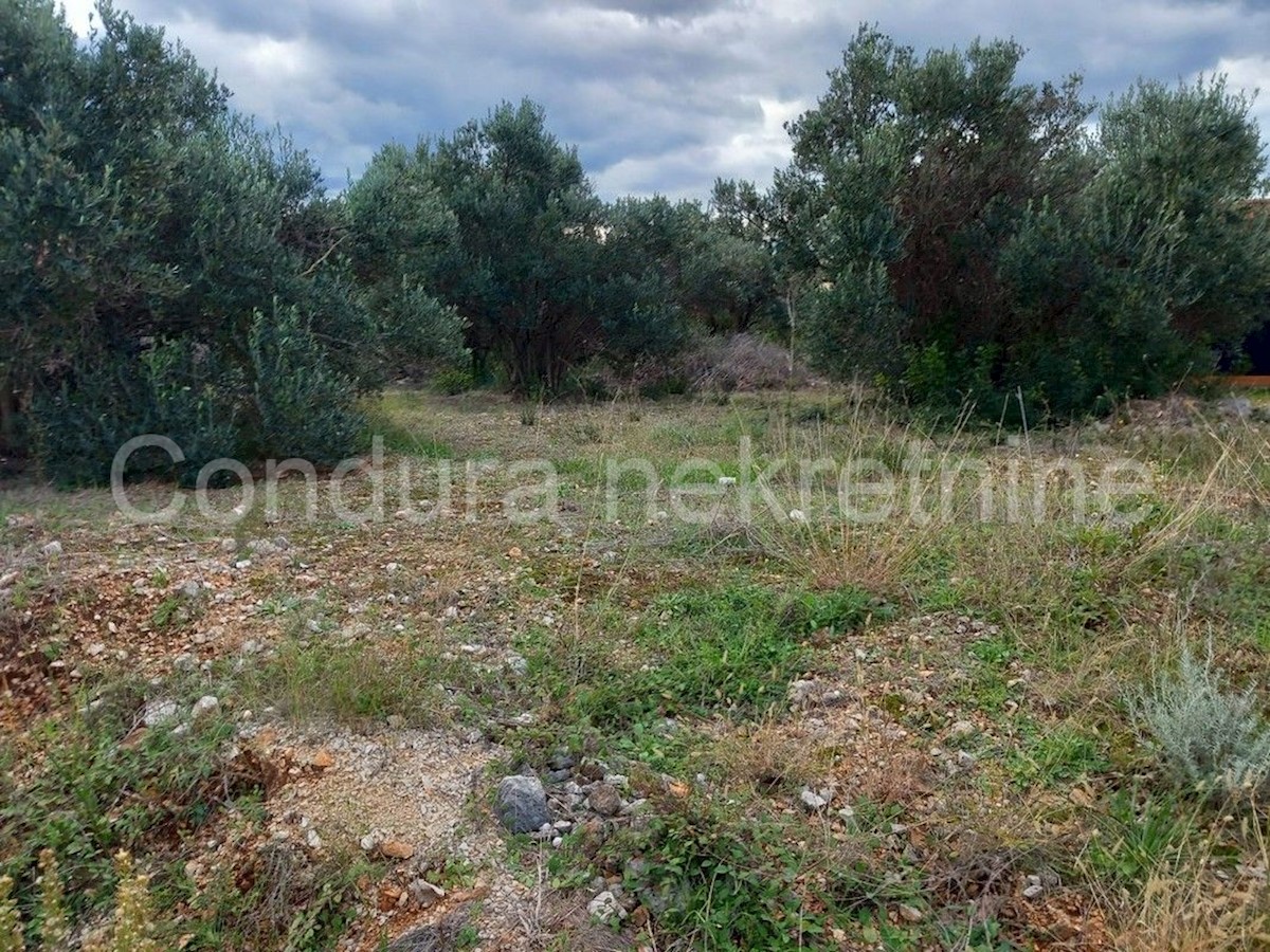 Terreno In vendita - ZADARSKA SVETI FILIP I JAKOV