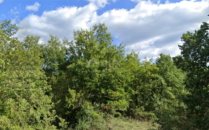 Grundstück Zu verkaufen - Istarska Svetvinčenat - foto 2/2