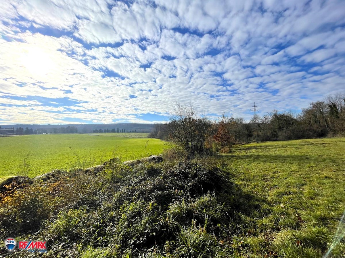 Terrain À vendre