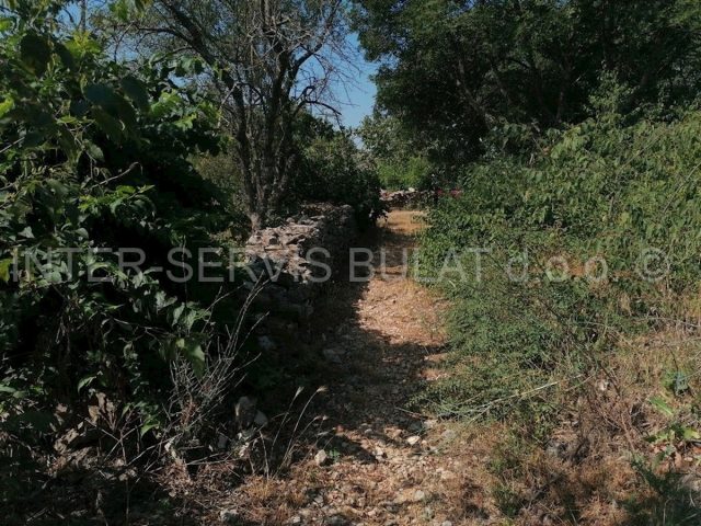 Pozemok na predaj 1989 m² – Drinovci