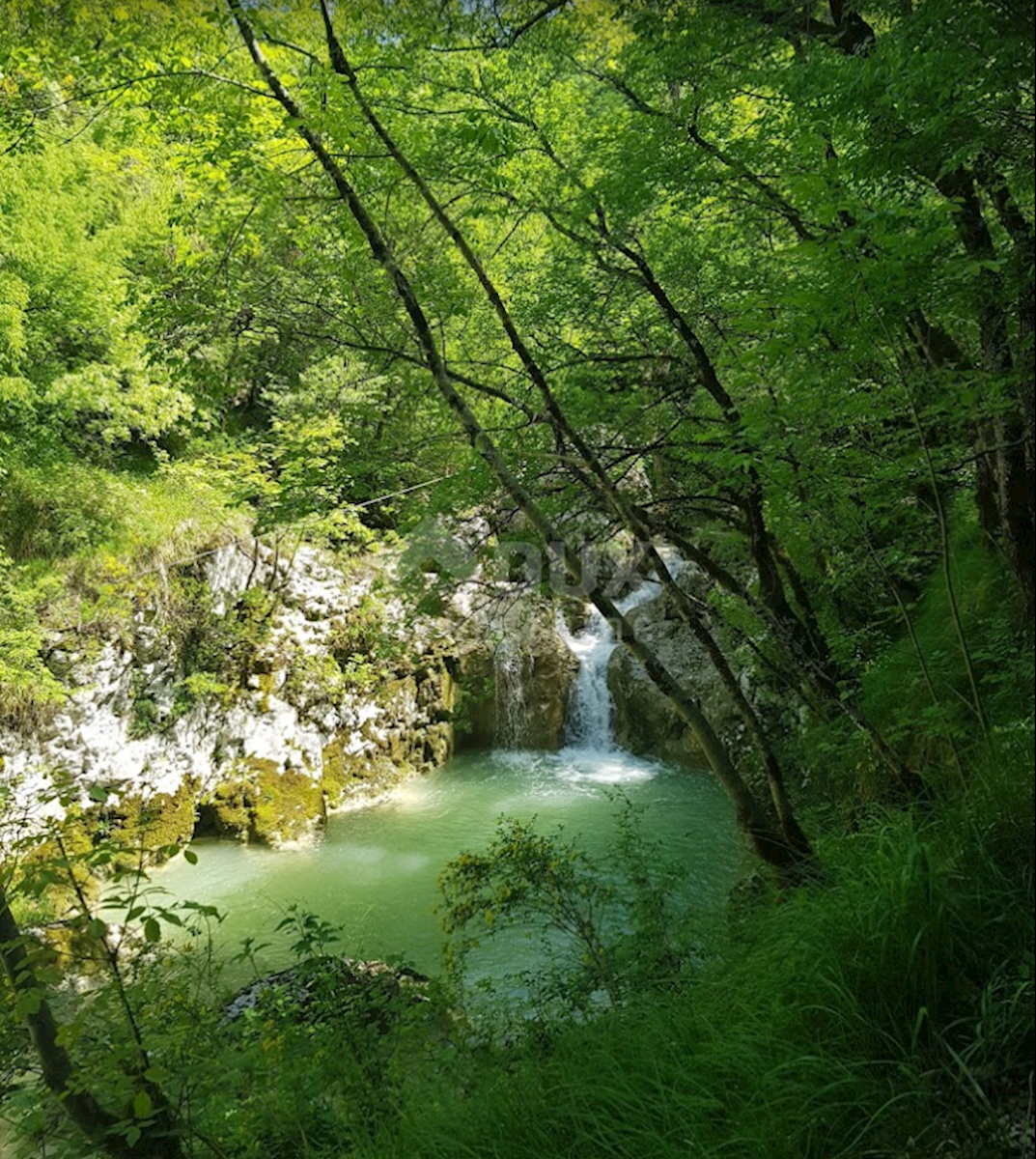 Dom Na sprzedaż - ISTARSKA BUZET