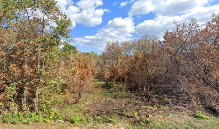 Terreno In vendita - Istarska Svetvinčenat - foto 2/2