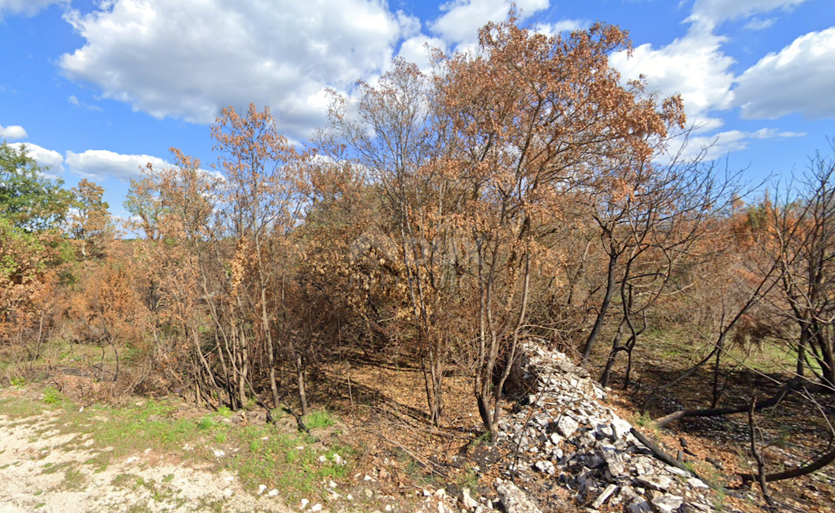 Terrain À vendre - ISTARSKA Svetvinčenat
