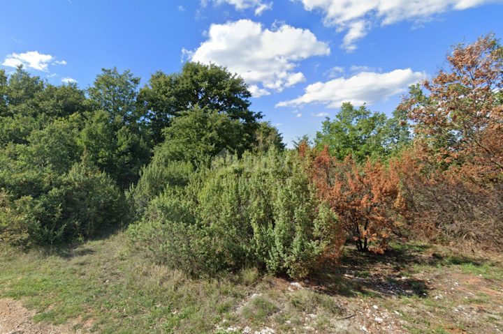 Land For sale - Istarska Svetvinčenat - foto 2/2