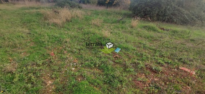 Terreno In vendita - Istarska Vodnjan - foto 2/2