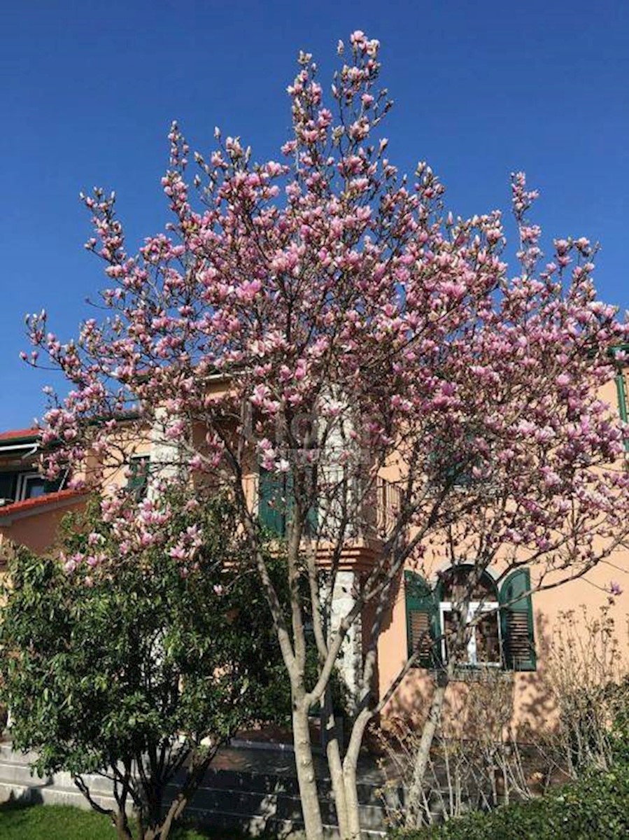 House For sale - Primorsko-goranska Kostrena - foto 3/15