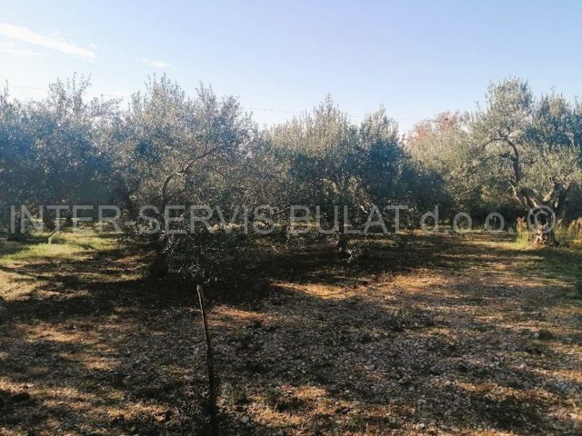 Land For sale - šibensko-kninska šibenik - foto 3/7