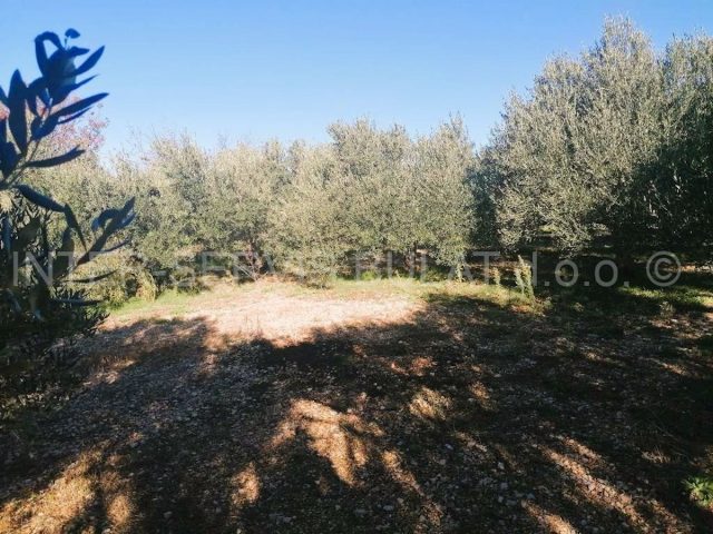 Land For sale - šibensko-kninska šibenik - foto 4/7