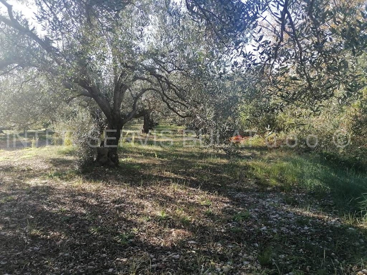 Grundstück Zu verkaufen - ŠIBENSKO-KNINSKA ŠIBENIK