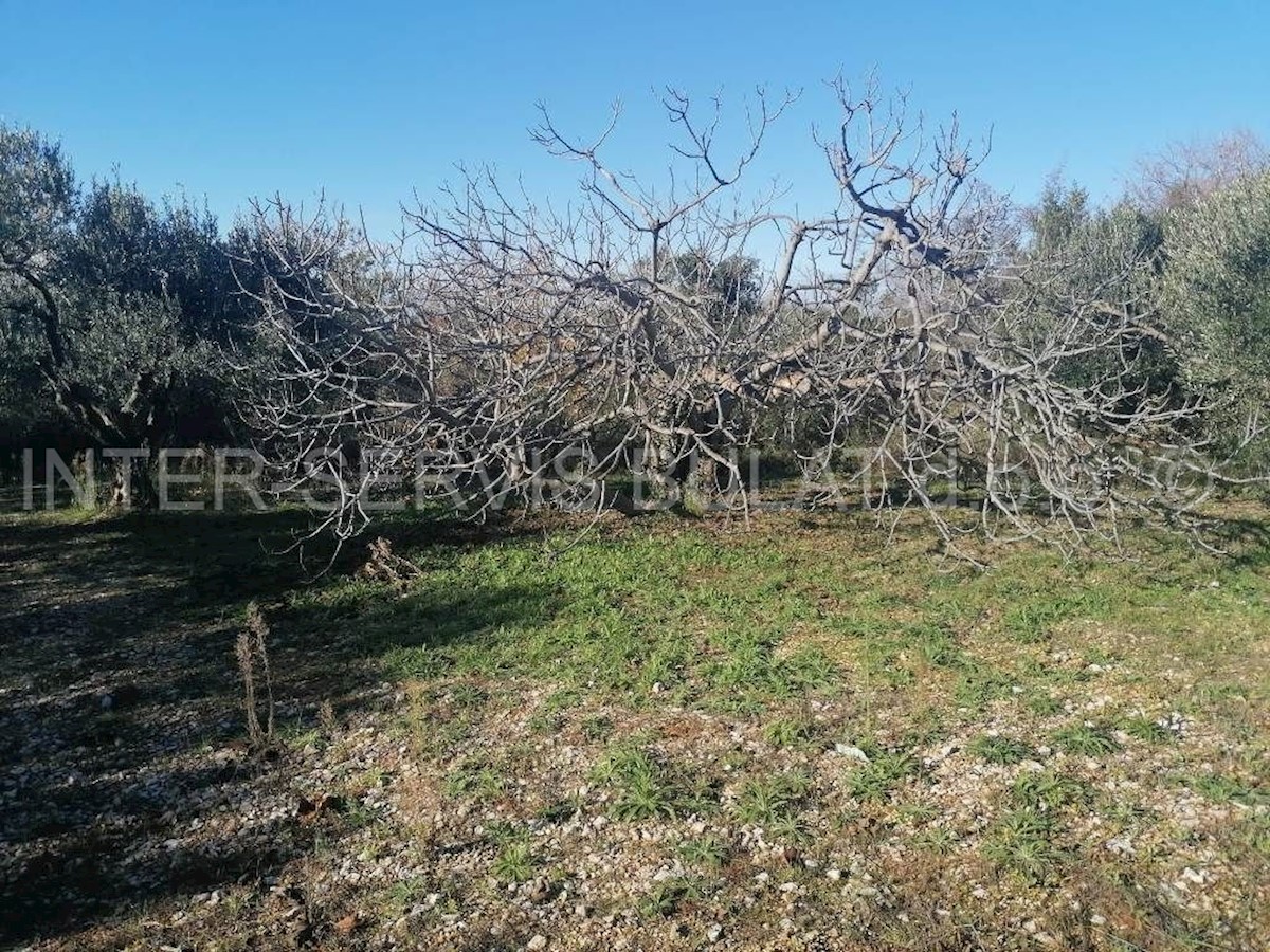 Grundstück Zu verkaufen - ŠIBENSKO-KNINSKA ŠIBENIK