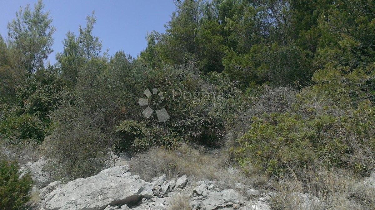 Land For sale - SPLITSKO-DALMATINSKA HVAR