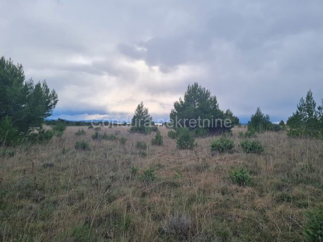 Pozemek Na prodej - Zadarska Privlaka - foto 3/3
