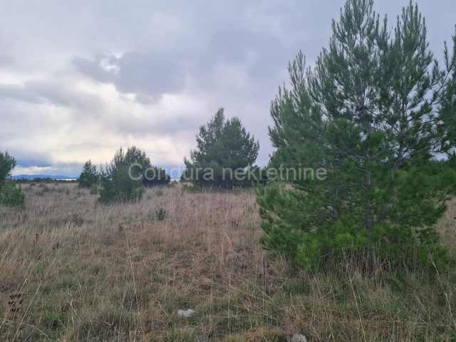Land for sale 700 m² – Privlaka