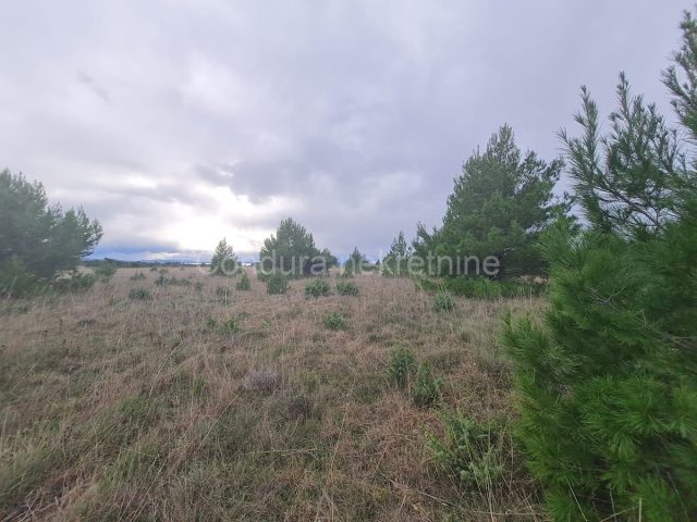 Pozemek Na prodej - Zadarska Privlaka - foto 3/3