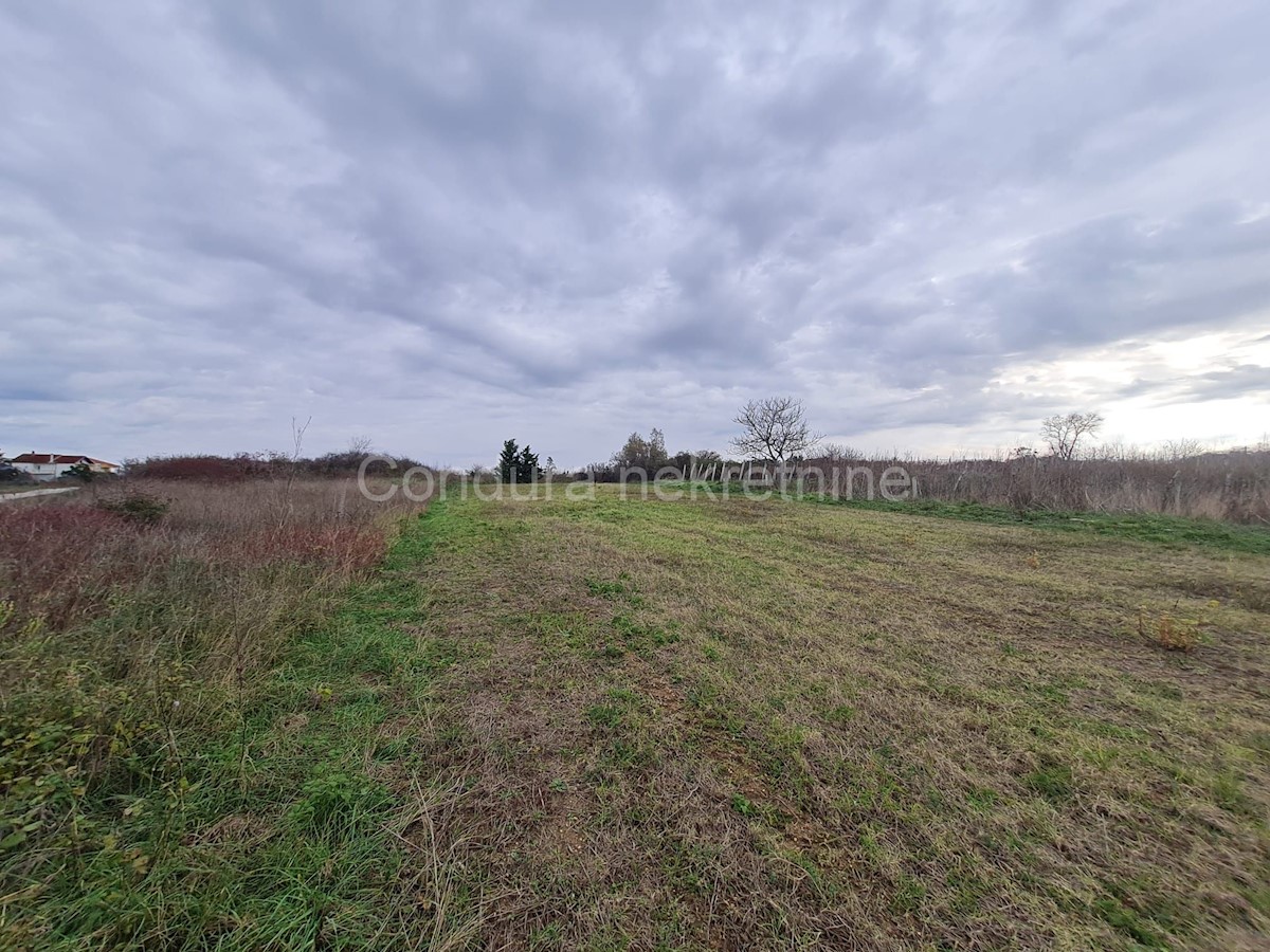 Land For sale - ZADARSKA NIN