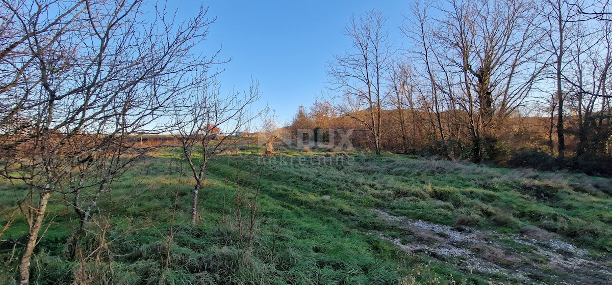 Dom Na predaj - ISTARSKA PAZIN