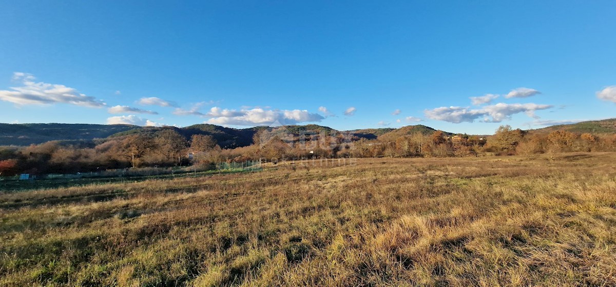 Dom Na predaj - ISTARSKA PAZIN