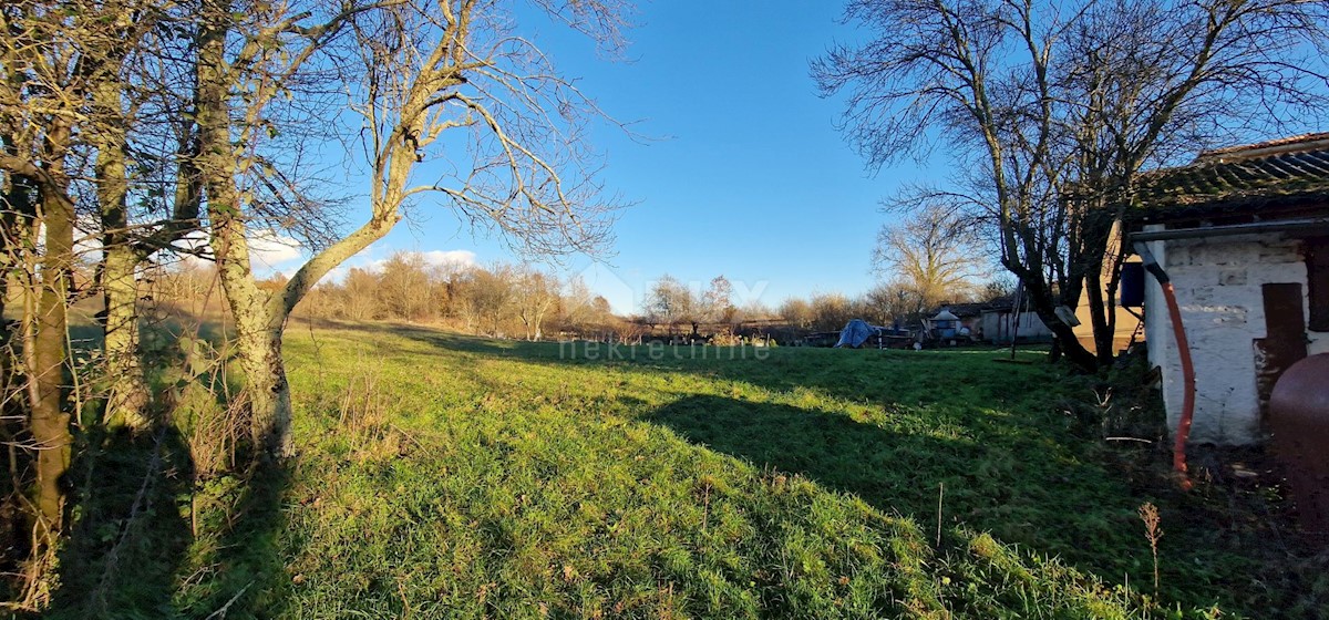 Terreno In vendita - ISTARSKA PAZIN