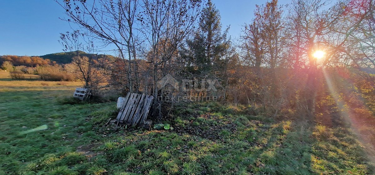 Land For sale - ISTARSKA PAZIN