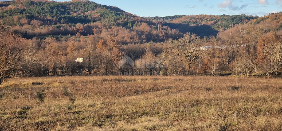 Land For sale - ISTARSKA PAZIN