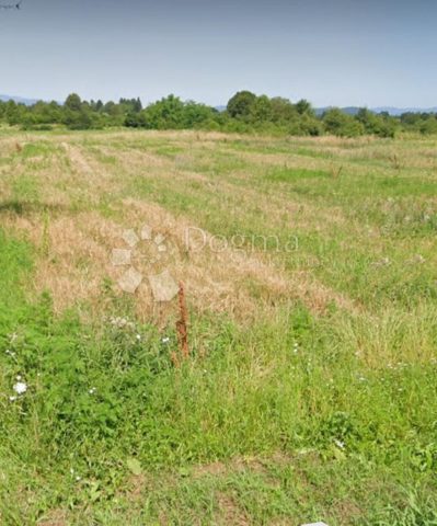 Działka na sprzedaż 4769 m² – Skradnik