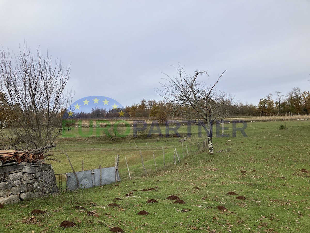 House For sale - ISTARSKA ŽMINJ