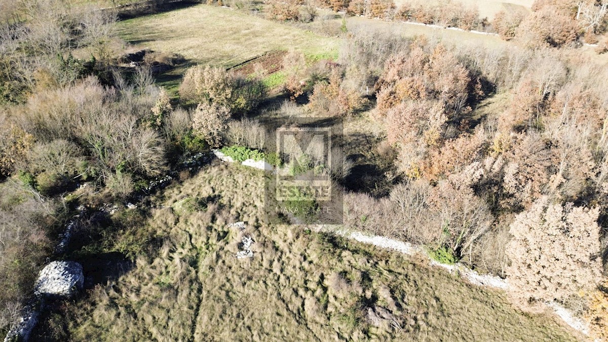 Terreno In vendita - ISTARSKA ŽMINJ