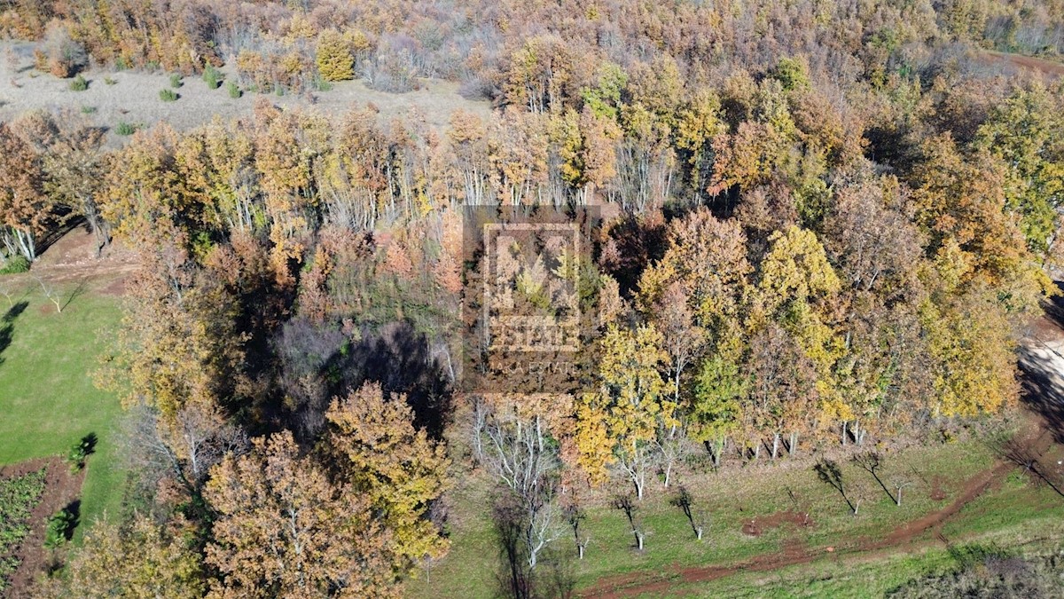 Zemljište Na prodaju - ISTARSKA ŽMINJ